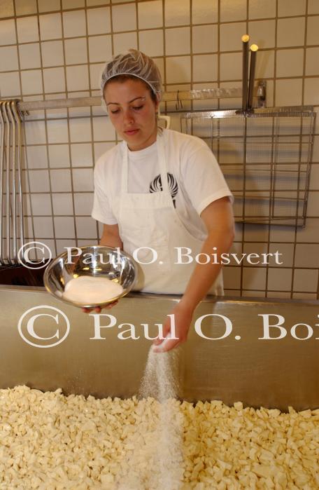 Cheese Making 30-08-01072