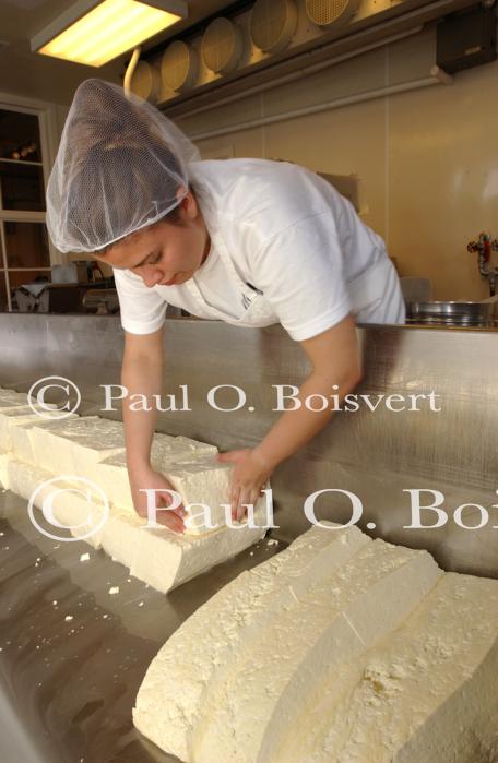 Cheese Making 30-08-01078