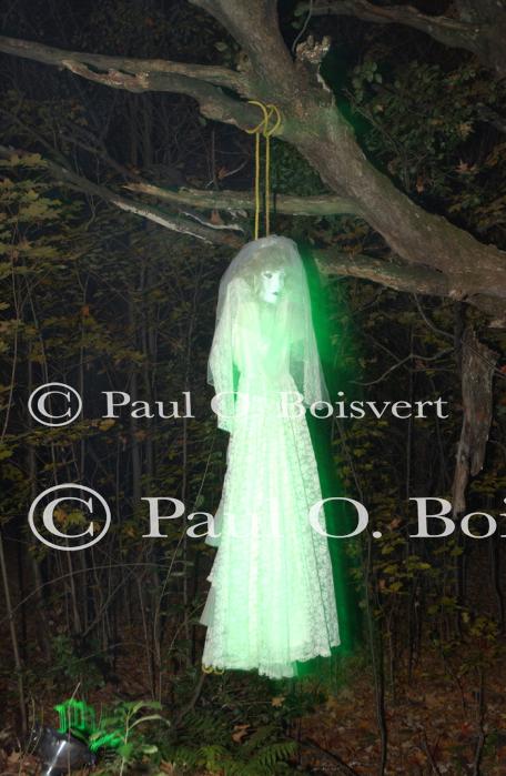 Holiday-Halloween 50-15-00203