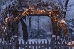 Holiday-Christmas 50-05-01826
