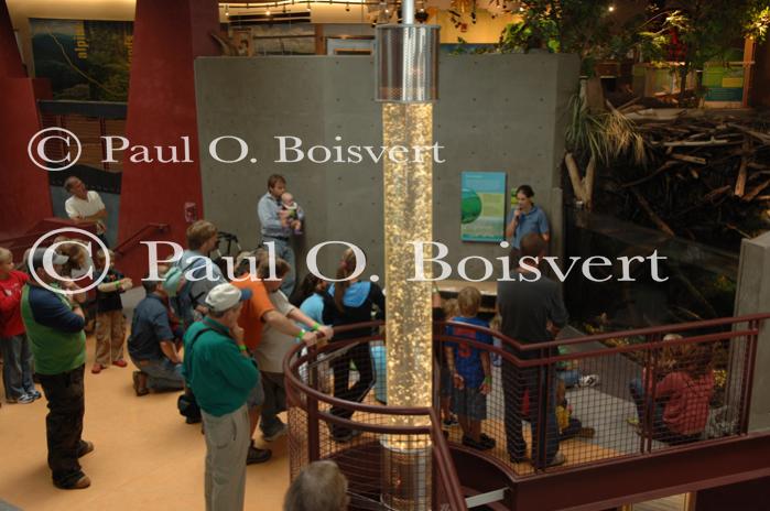 Burlington 81-20-07131