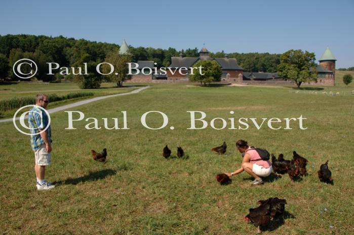 Farm-Shelburne Farms 30-25-01929