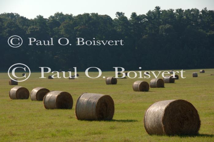 Farm-Shelburne Farms 30-25-01963