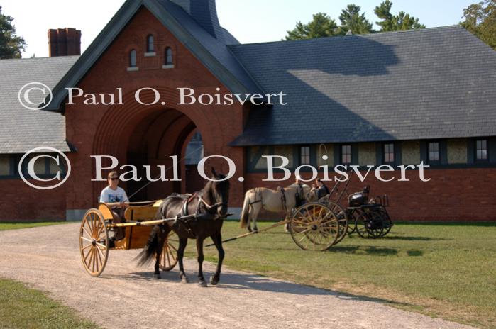 Farm-Shelburne Farms 30-25-01973