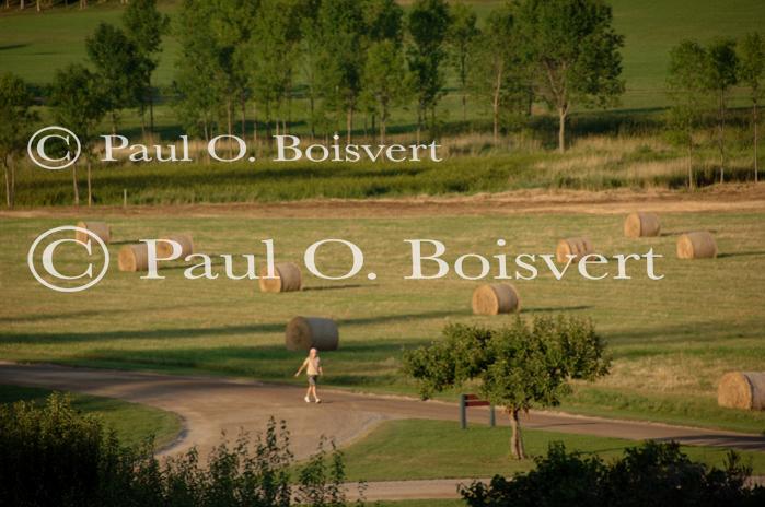 Farm-Shelburne Farms 30-25-01979