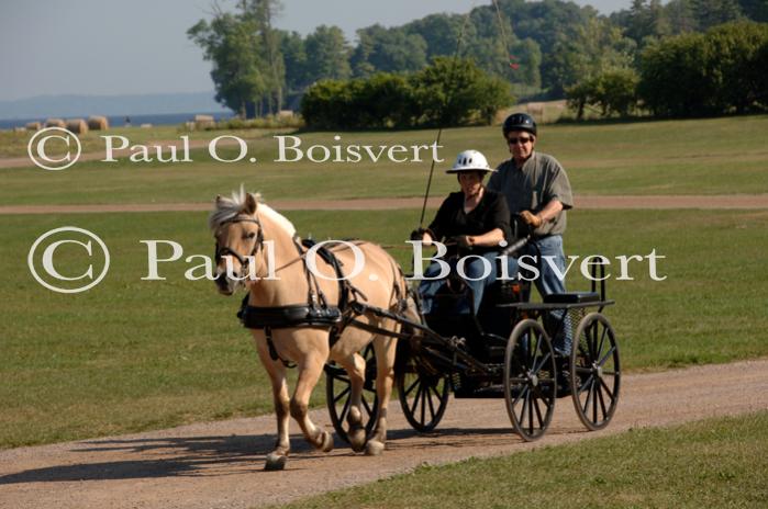 Farm-Shelburne Farms 30-25-01980