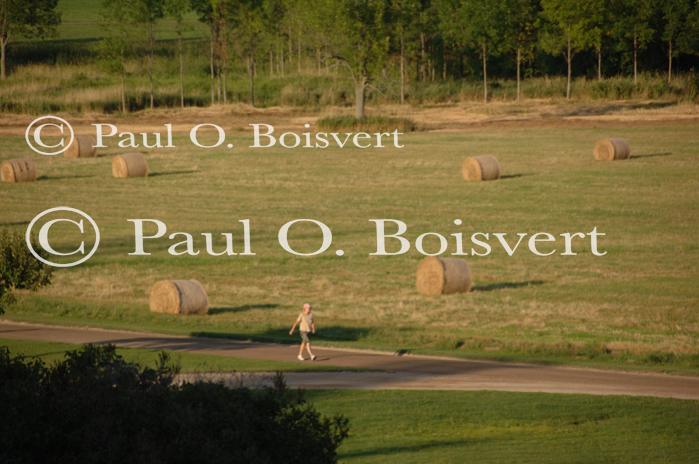 Farm-Shelburne Farms 30-25-01981