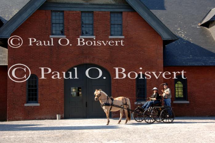 Farm-Shelburne Farms 30-25-01983