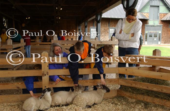 Farm-Shelburne Farms 30-25-02011