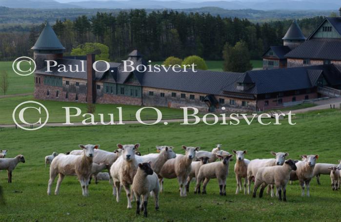 Farm-Shelburne Farms 30-25-02054