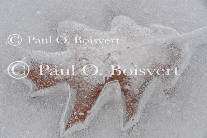 Scenery-Nature 70-08-01170