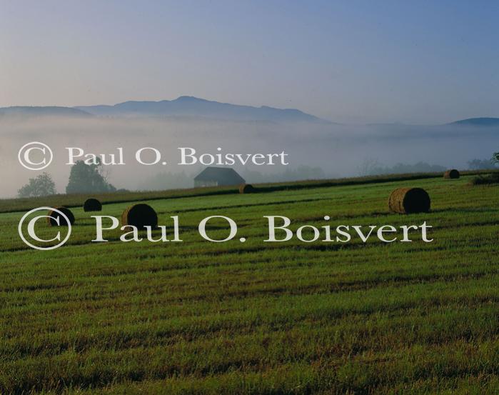 Scenery-Summer 70-20-04367