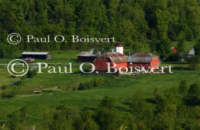 Scenery-Summer 70-20-04378