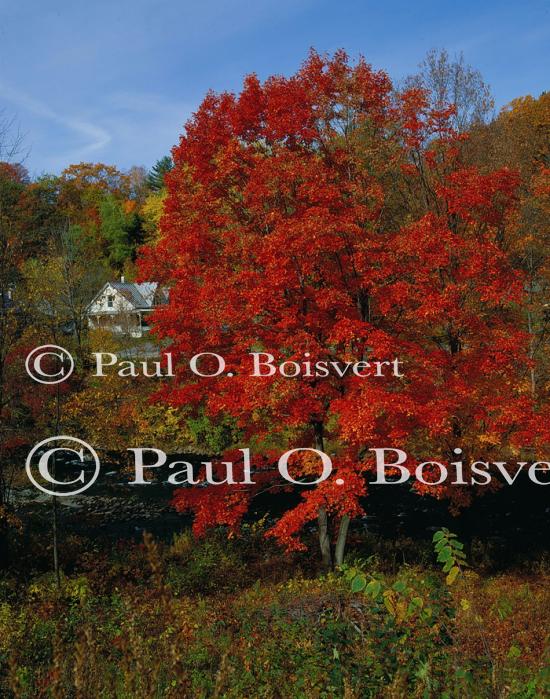 Scenery-Fall 70-05-14219