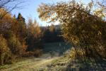 Scenery-Fall 70-05-14294