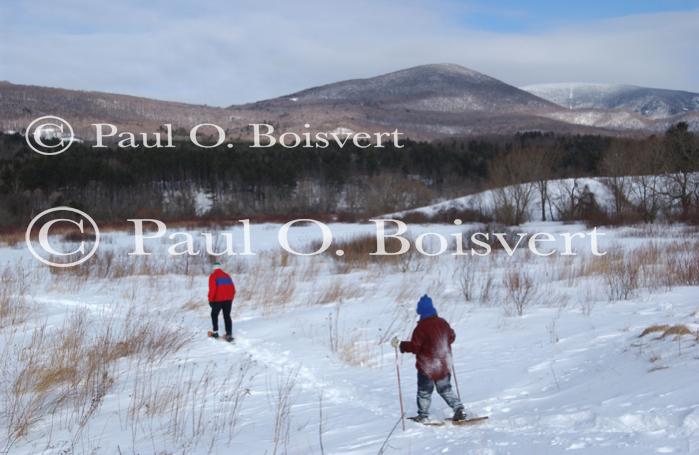 Sports-Snowshoe 75-58-00179