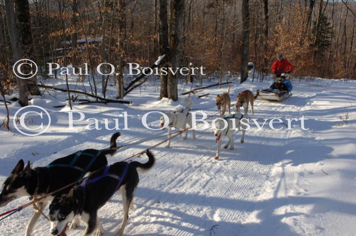 Sports-Dogsled 75-22-00281