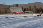 Sports-Dogsled 75-22-00283
