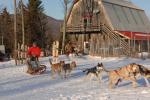 Sports-Dogsled 75-22-00287