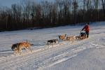 Sports-Dogsled 75-22-00288