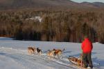 Sports-Dogsled 75-22-00289