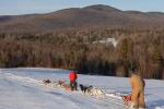 Sports-Dogsled 75-22-00291