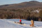 Sports-Dogsled 75-22-00292