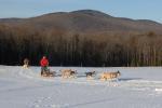 Sports-Dogsled 75-22-00293