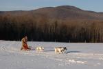 Sports-Dogsled 75-22-00295