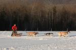 Sports-Dogsled 75-22-00299