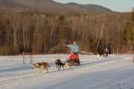 Sports-Dogsled 75-22-00304