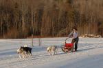 Sports-Dogsled 75-22-00306