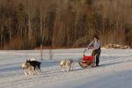 Sports-Dogsled 75-22-00306