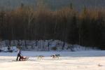 Sports-Dogsled 75-22-00307