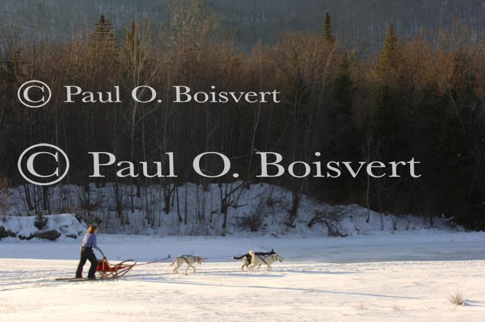 Sports-Dogsled 75-22-00307