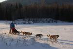 Sports-Dogsled 75-22-00309