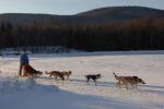 Sports-Dogsled 75-22-00310