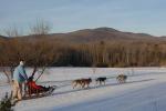 Sports-Dogsled 75-22-00314