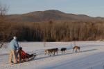 Sports-Dogsled 75-22-00315