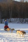 Sports-Dogsled 75-22-00316