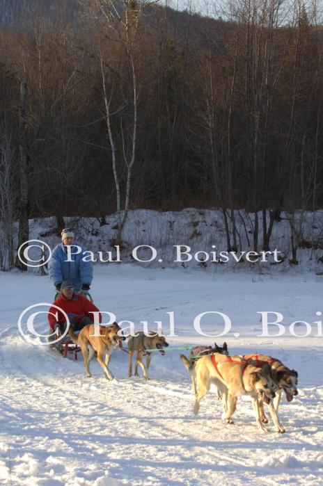 Sports-Dogsled 75-22-00316