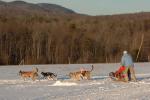 Sports-Dogsled 75-22-00317