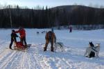 Sports-Dogsled 75-22-00320