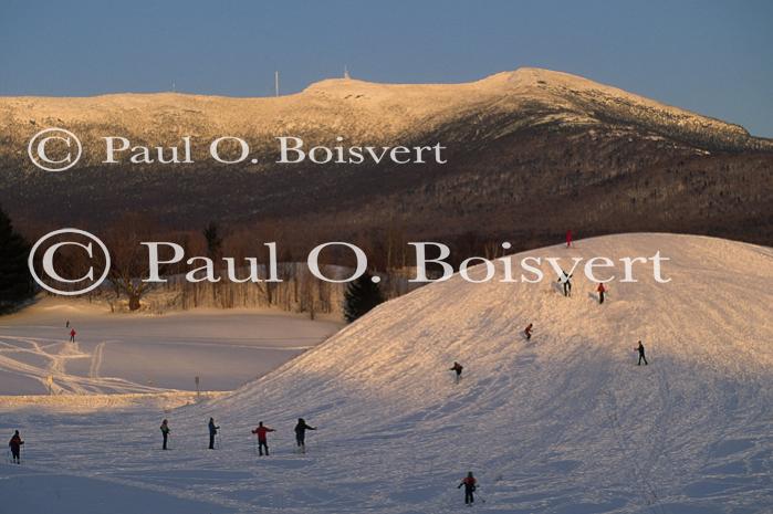 Sports-Sled 75-50-00269