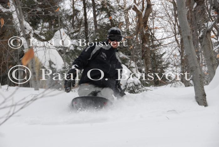 Sports-Sled 75-50-00533