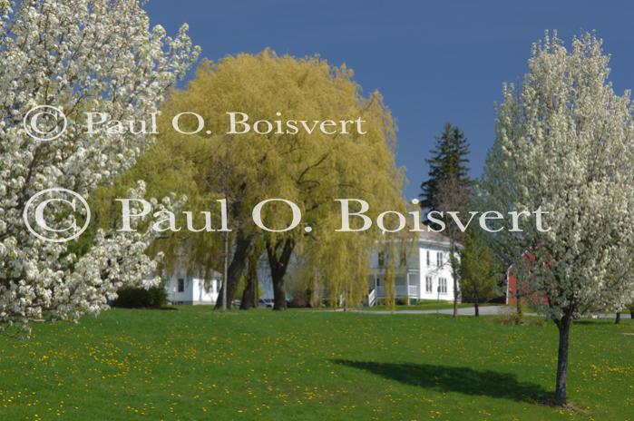 Middlebury 81-30-00569