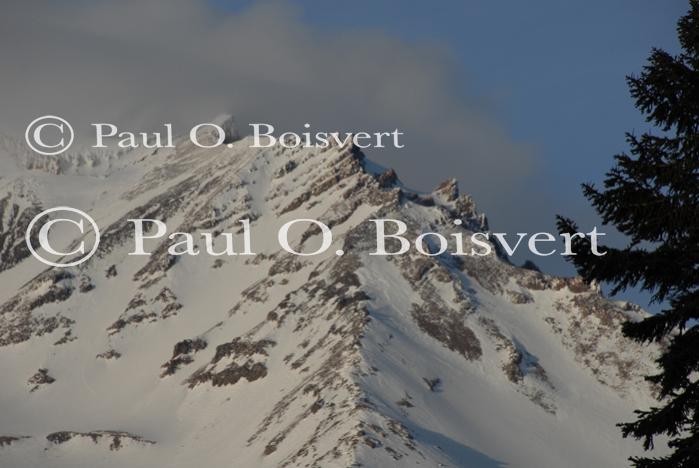 Mt Shasta 90-22-00014