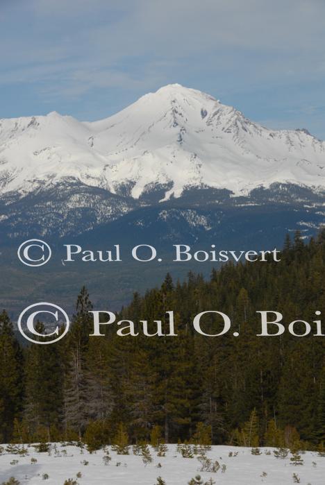Mt Shasta 90-22-00037