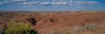Panoramic-Arizona 55-01-00009