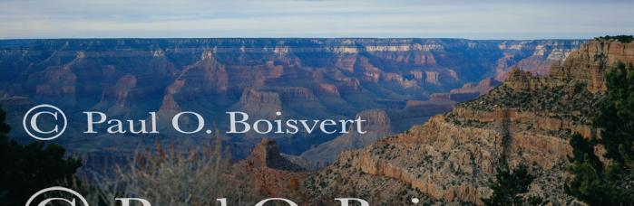 Panoramic-Arizona 55-01-00031